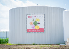 Linflowers wordt gerund door Rochus en David van Tuyl.